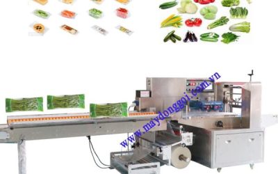 Top 7 công ty sản xuất máy đóng gói dạng nằm chất lượng, giá tốt