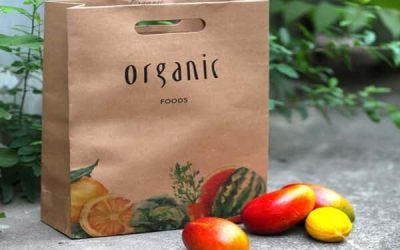 Top 6 Xưởng In Túi Giấy Kraft Giá Rẻ Uy Tín Nhất Hiện Nay